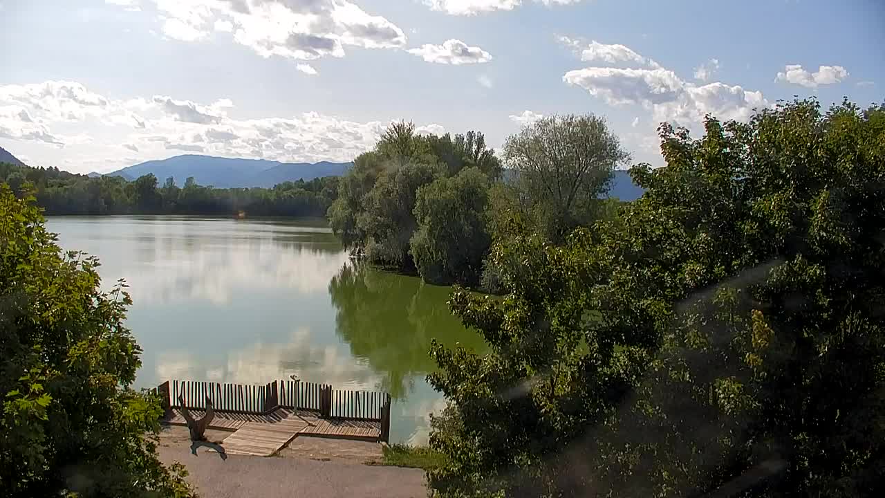 Webcam Ribnik Vrbje – Žalec