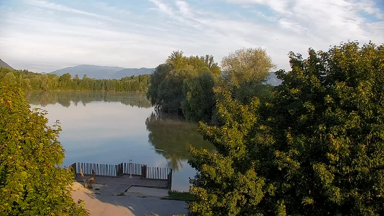 Webcam Ribnik Vrbje – Žalec