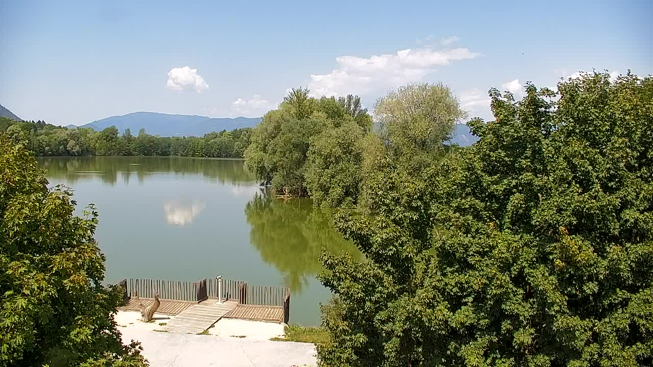 Webcam Ribnik Vrbje – Žalec
