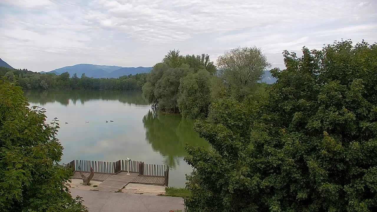 Webcam Ribnik Vrbje – Žalec