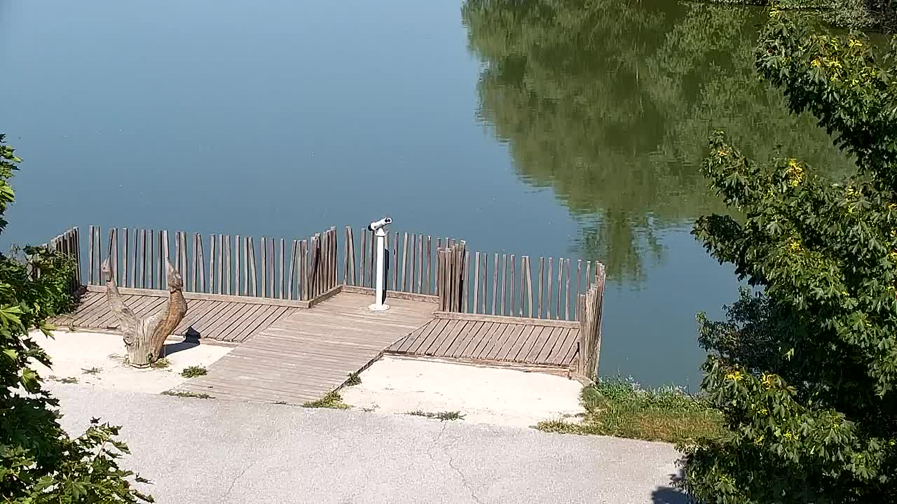 Webcam Ribnik Vrbje – Žalec
