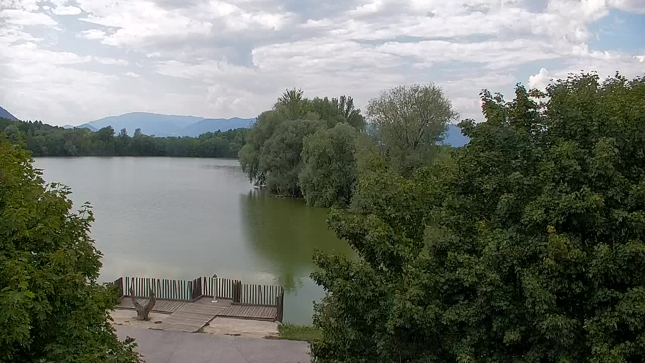 Webcam Ribnik Vrbje – Žalec