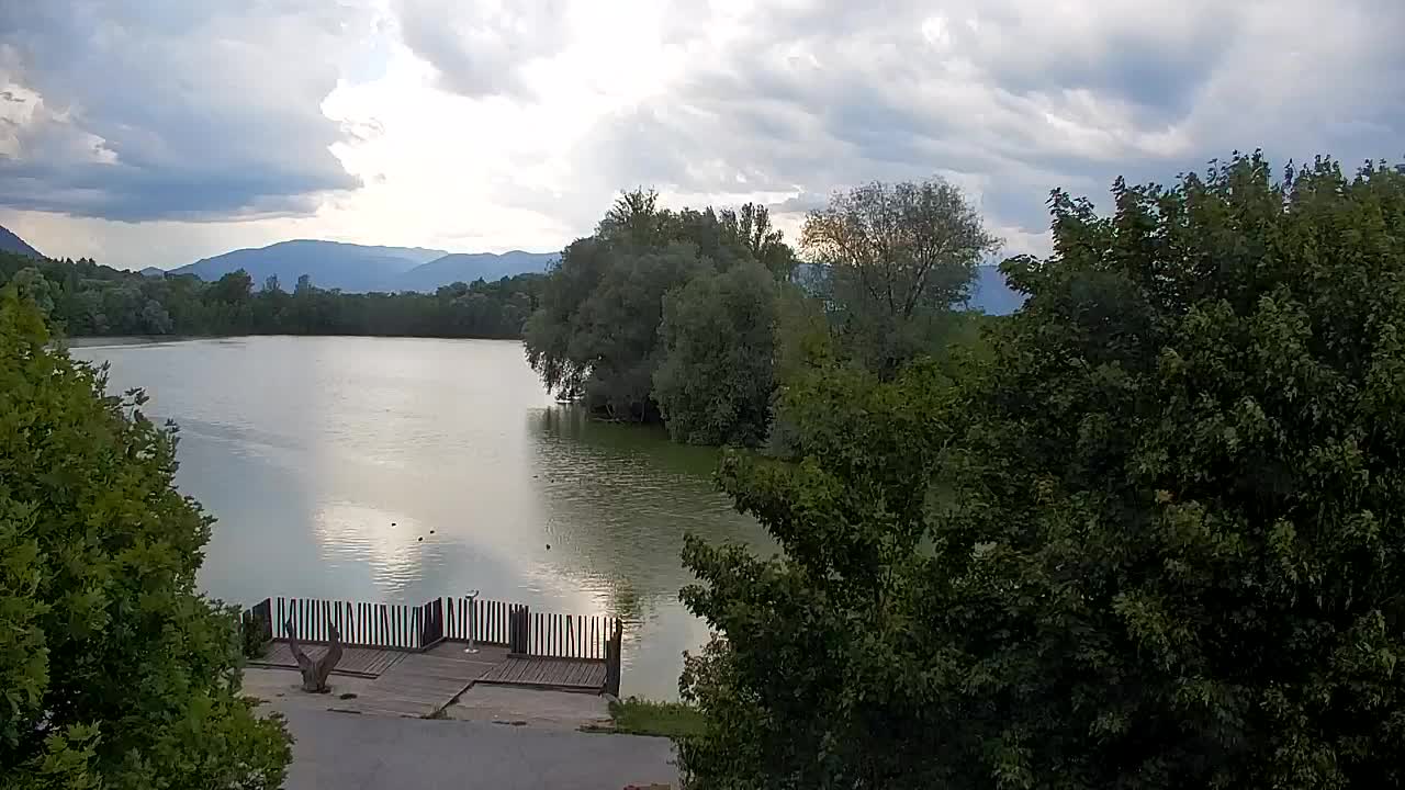 Webcam Ribnik Vrbje – Žalec