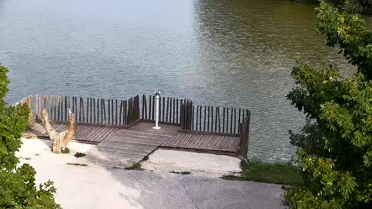 Webcam Ribnik Vrbje – Žalec