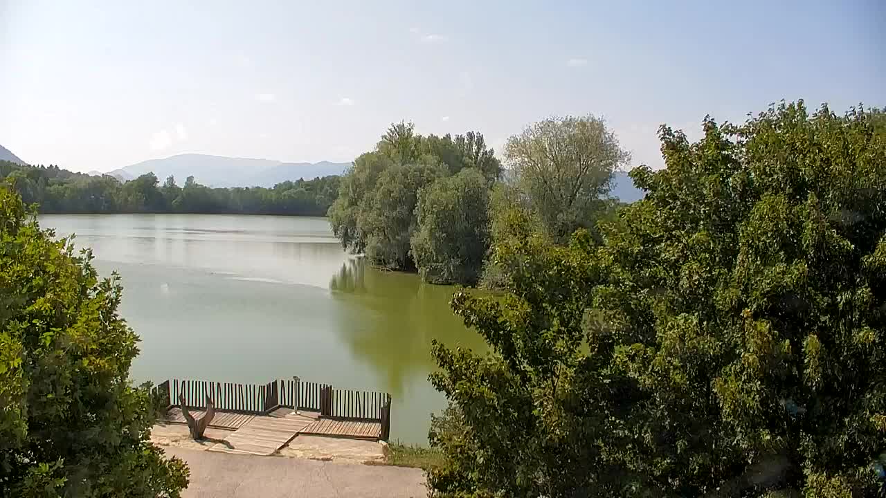 Webcam Ribnik Vrbje – Žalec