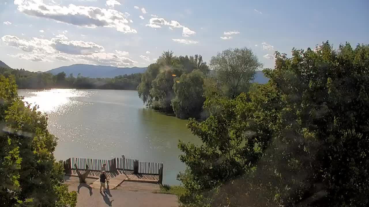 Webcam Ribnik Vrbje – Žalec