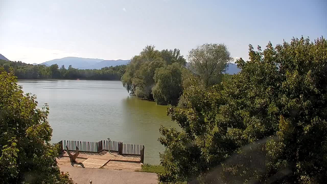 Webcam Ribnik Vrbje – Žalec