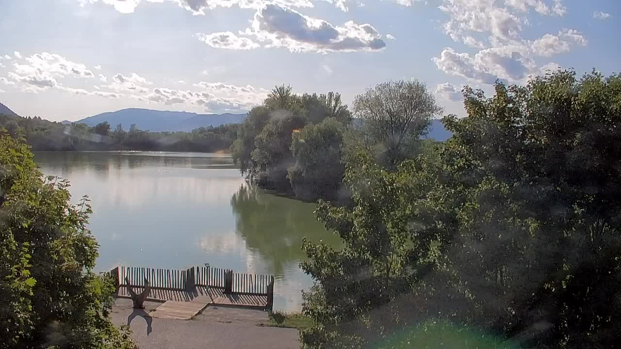 Webcam Ribnik Vrbje – Žalec