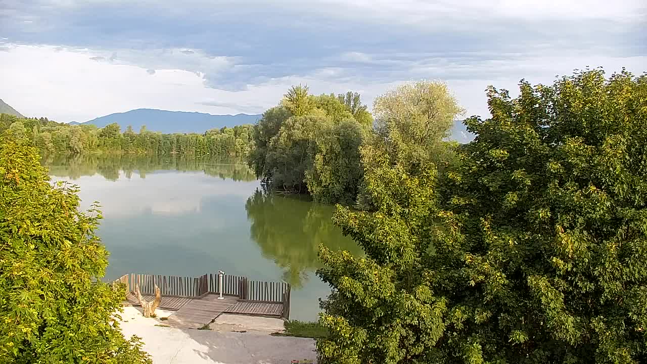 Webcam Ribnik Vrbje – Žalec