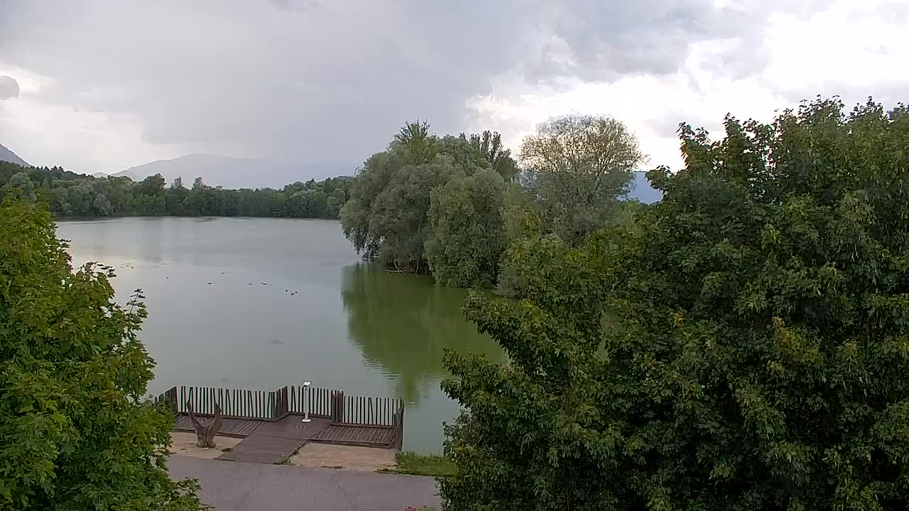 Webcam Ribnik Vrbje – Žalec