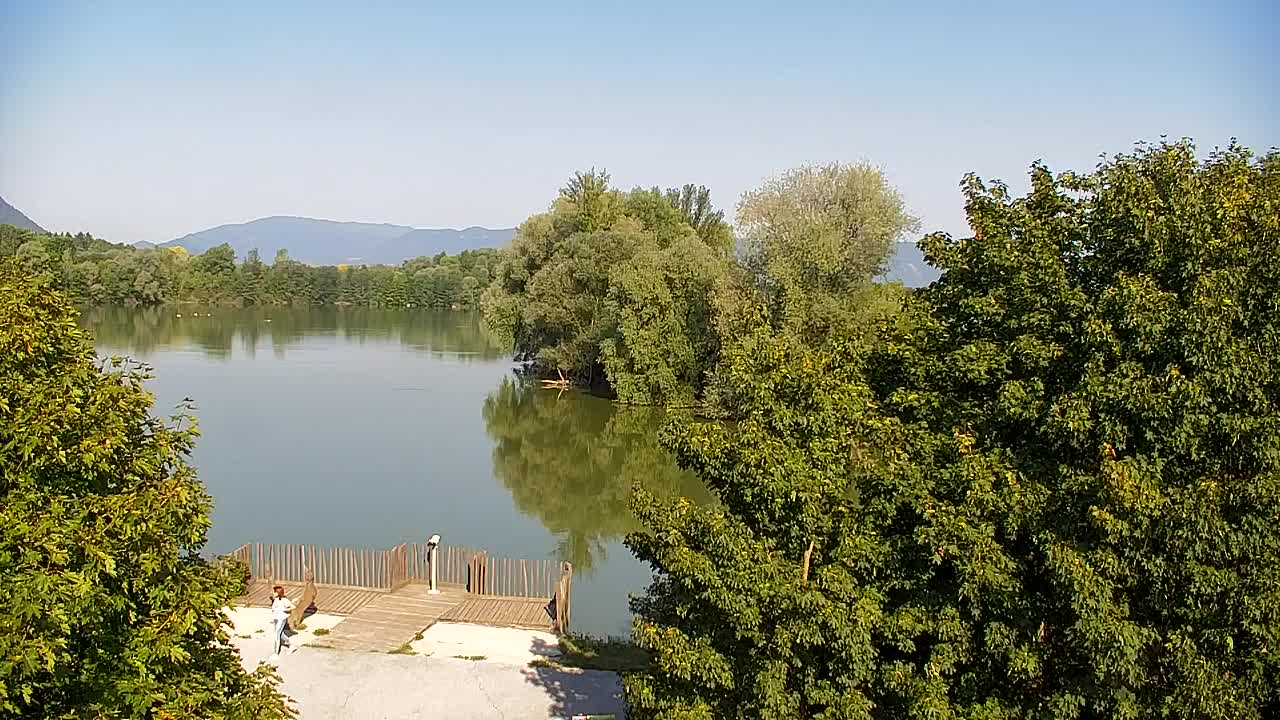 Webcam Ribnik Vrbje – Žalec