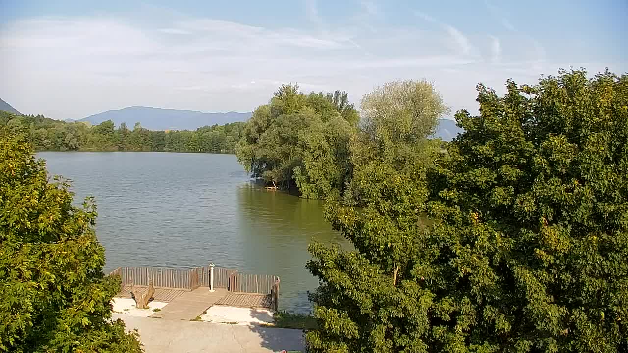 Web kamera Ribnik Vrbje – Žalec