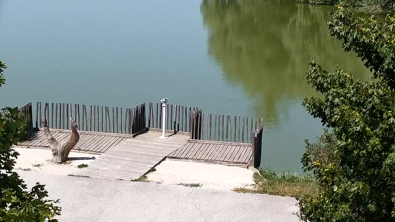 Webcam Ribnik Vrbje – Žalec