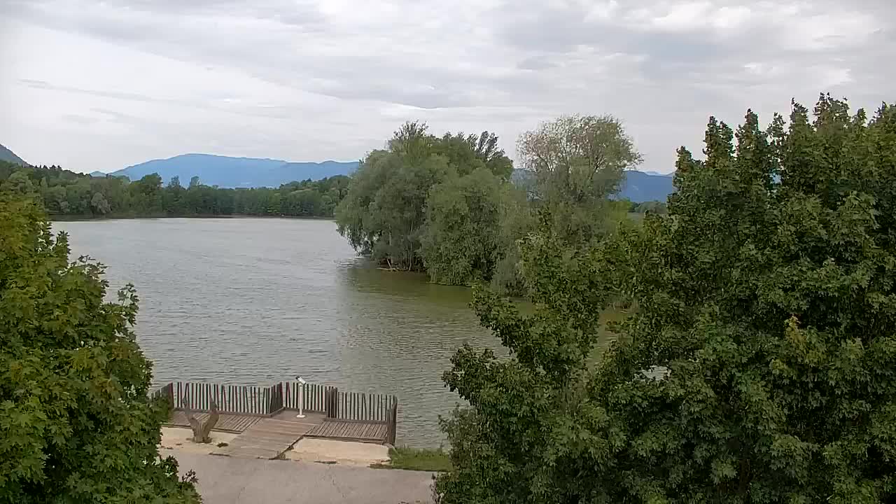 Webcam Ribnik Vrbje – Žalec