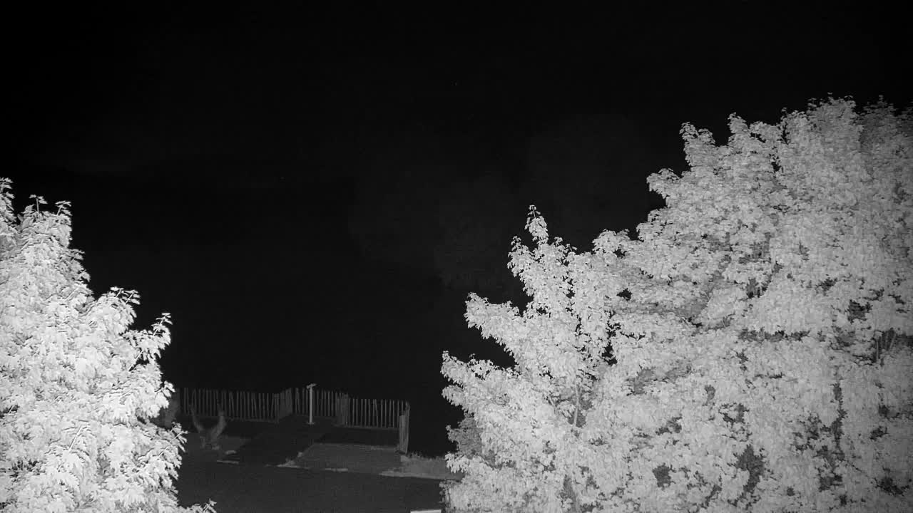 Webcam Ribnik Vrbje – Žalec