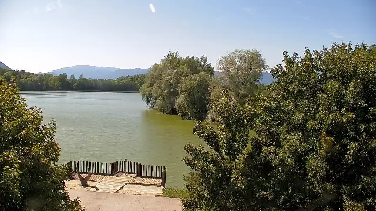 Webcam Ribnik Vrbje – Žalec