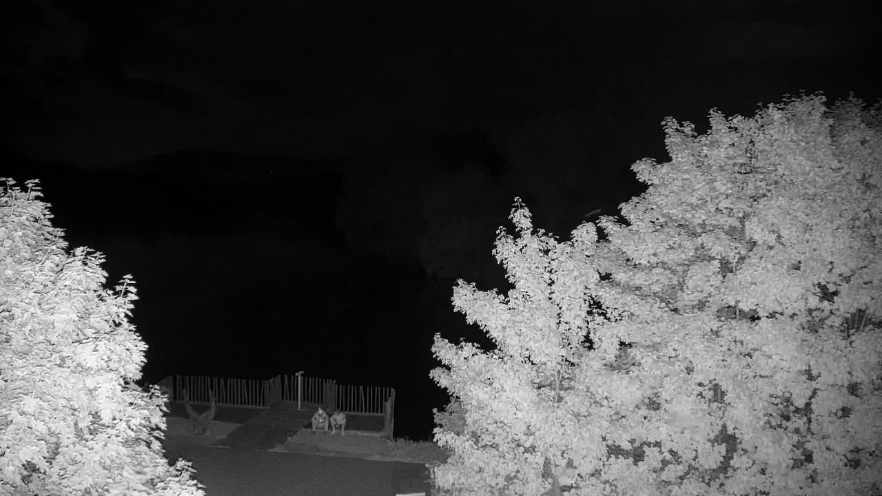 Webcam Ribnik Vrbje – Žalec