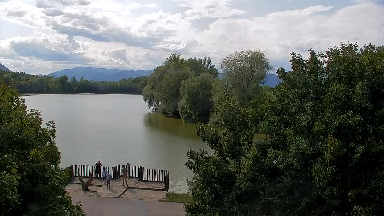 Web kamera Ribnik Vrbje – Žalec