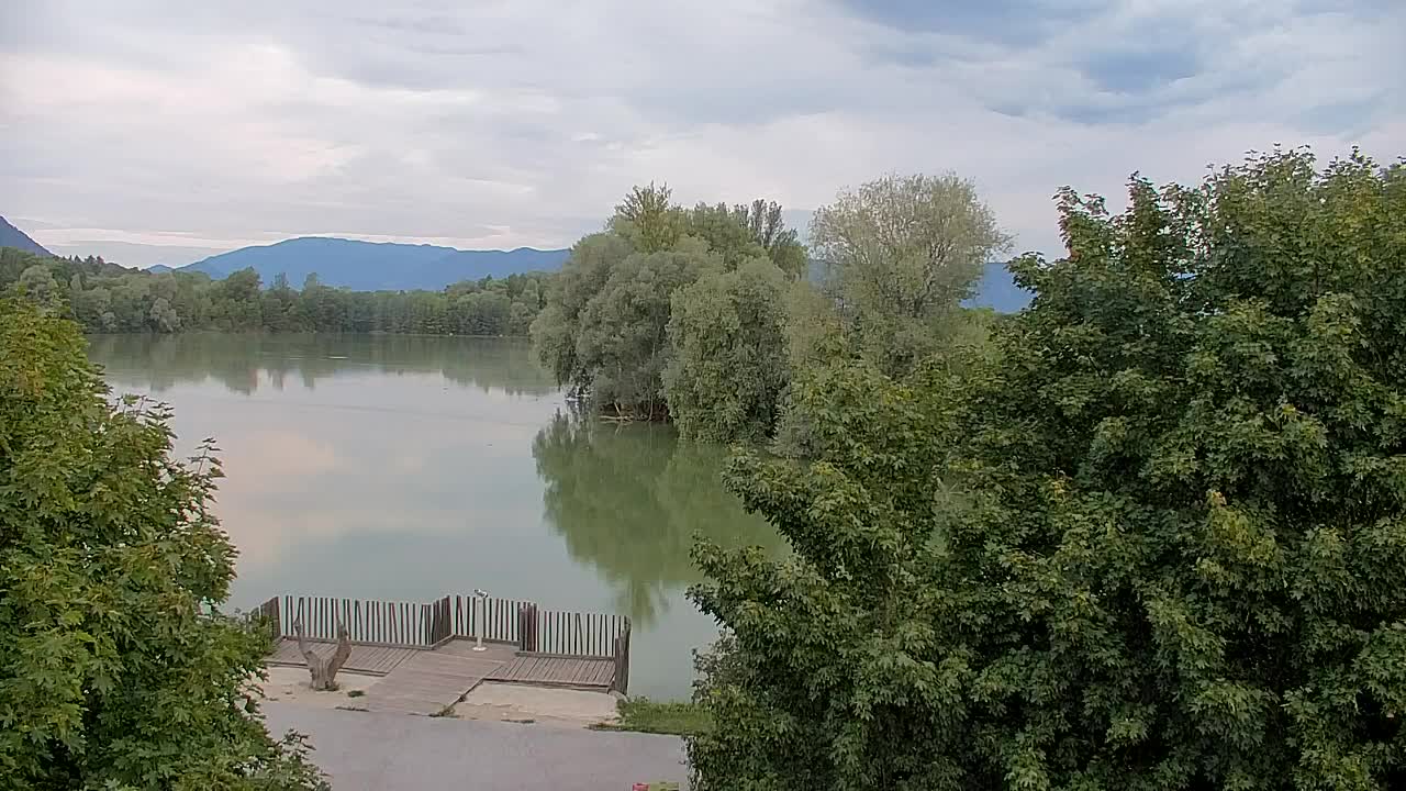 Web kamera Ribnik Vrbje – Žalec