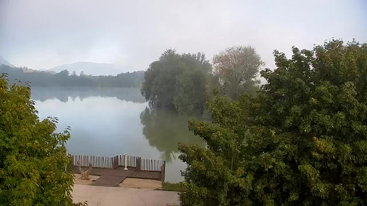 Webcam Ribnik Vrbje – Žalec