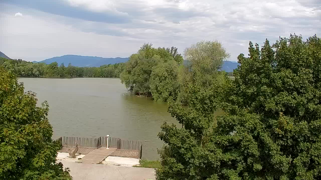 Webcam Ribnik Vrbje – Žalec