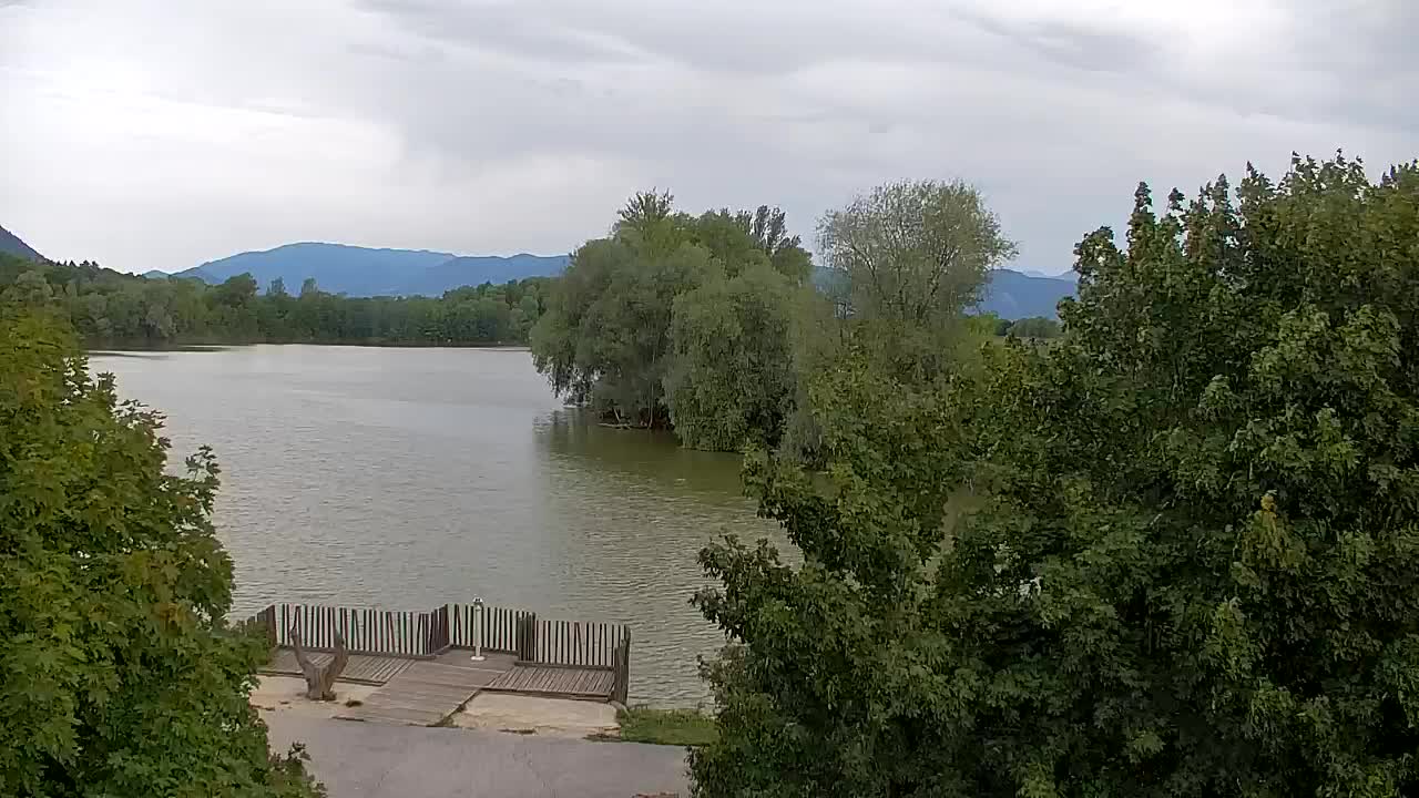 Webcam Ribnik Vrbje – Žalec