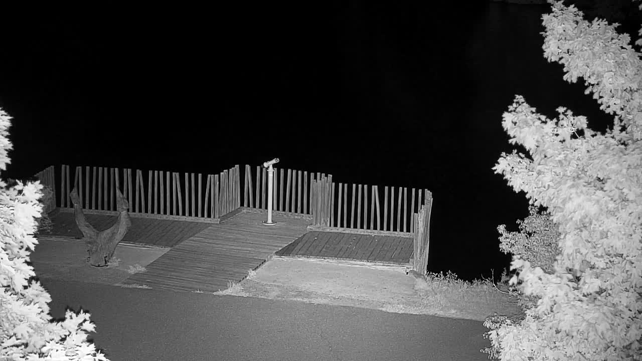 Webcam Ribnik Vrbje – Žalec