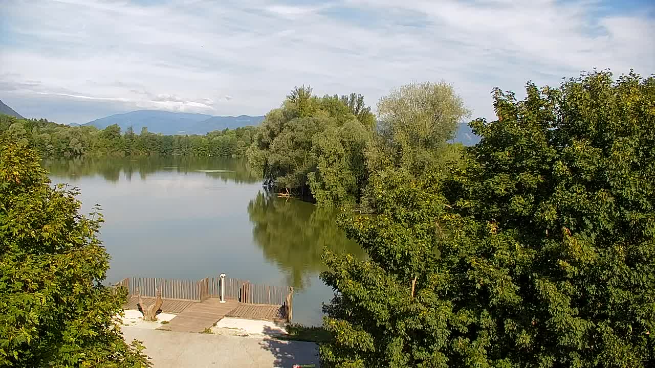 Webcam Ribnik Vrbje – Žalec