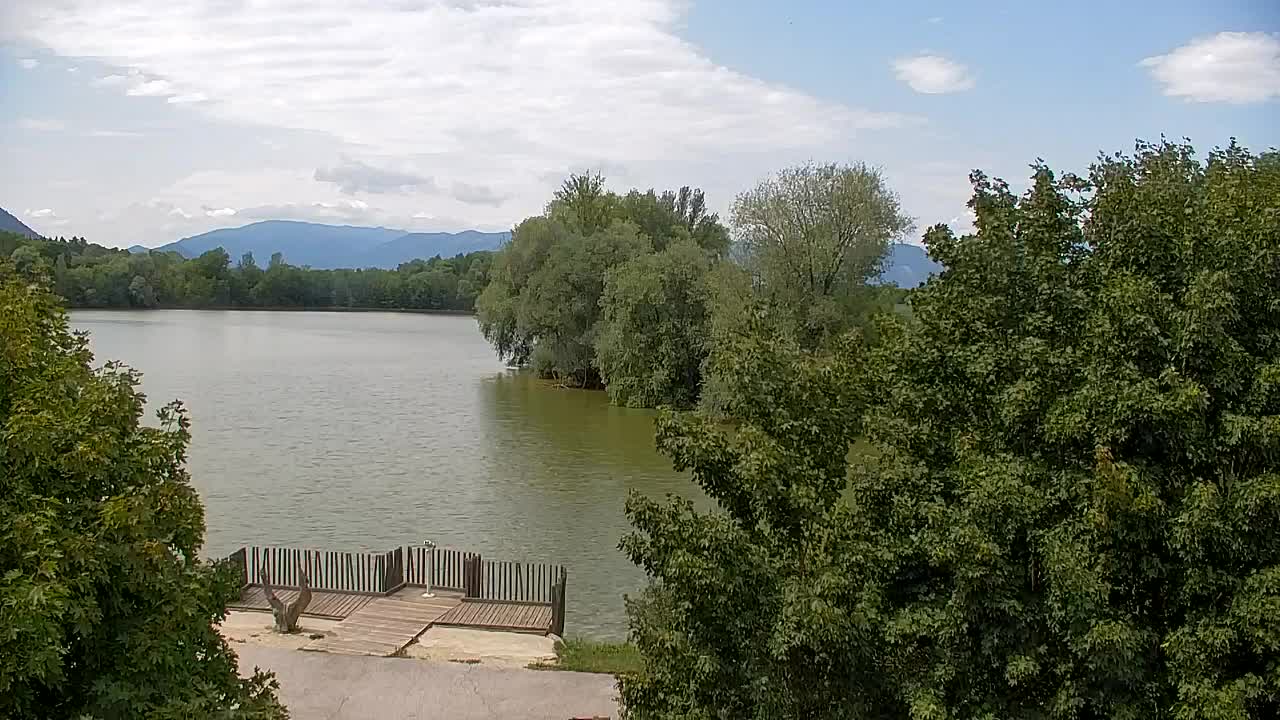 Spletna kamera Ribnik Vrbje – Žalec