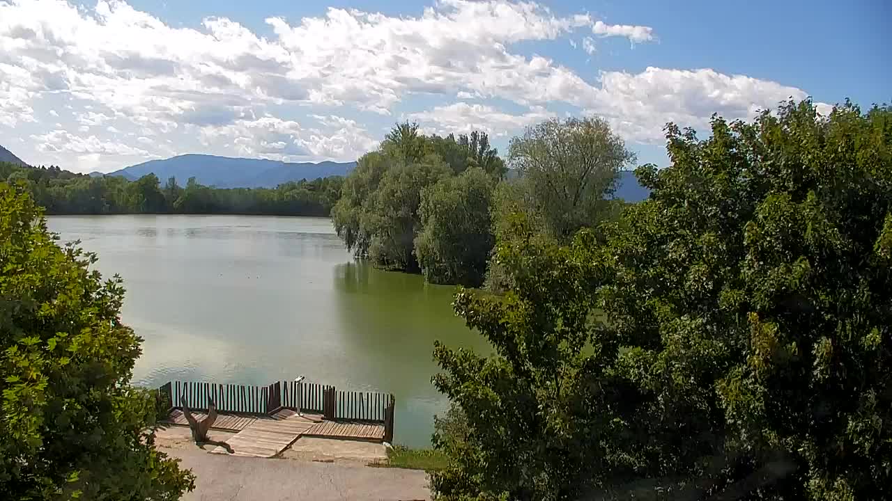 Webcam Ribnik Vrbje – Žalec