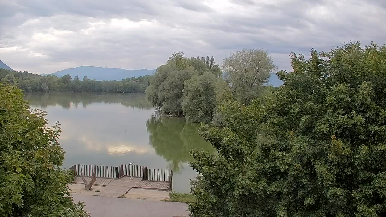 Webcam Ribnik Vrbje – Žalec