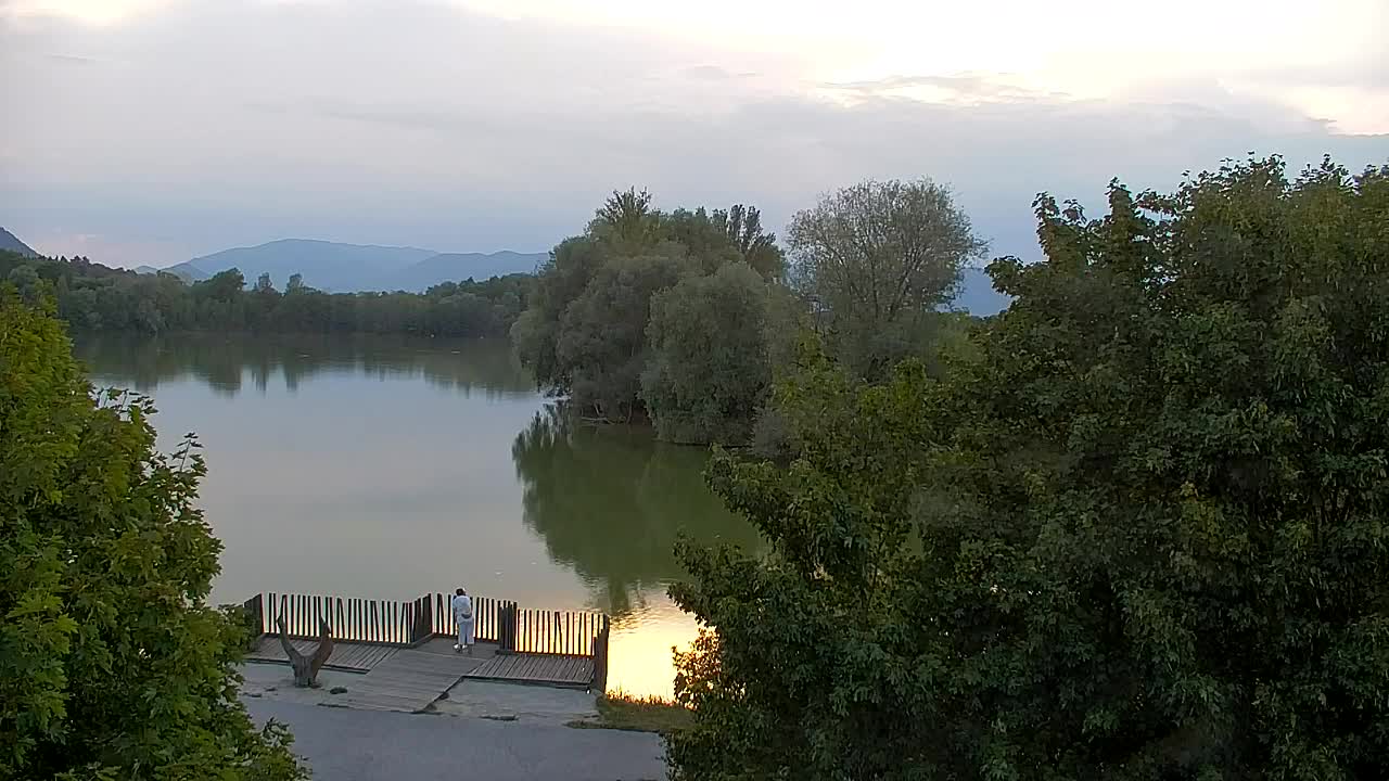 Webcam Ribnik Vrbje – Žalec