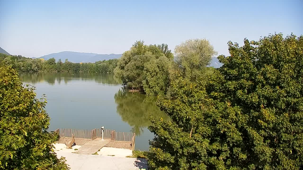 Spletna kamera Ribnik Vrbje – Žalec