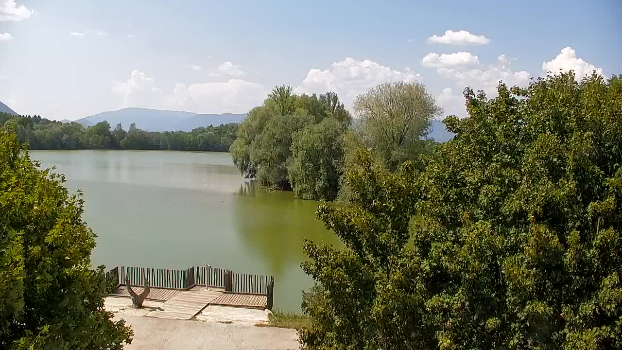 Web kamera Ribnik Vrbje – Žalec