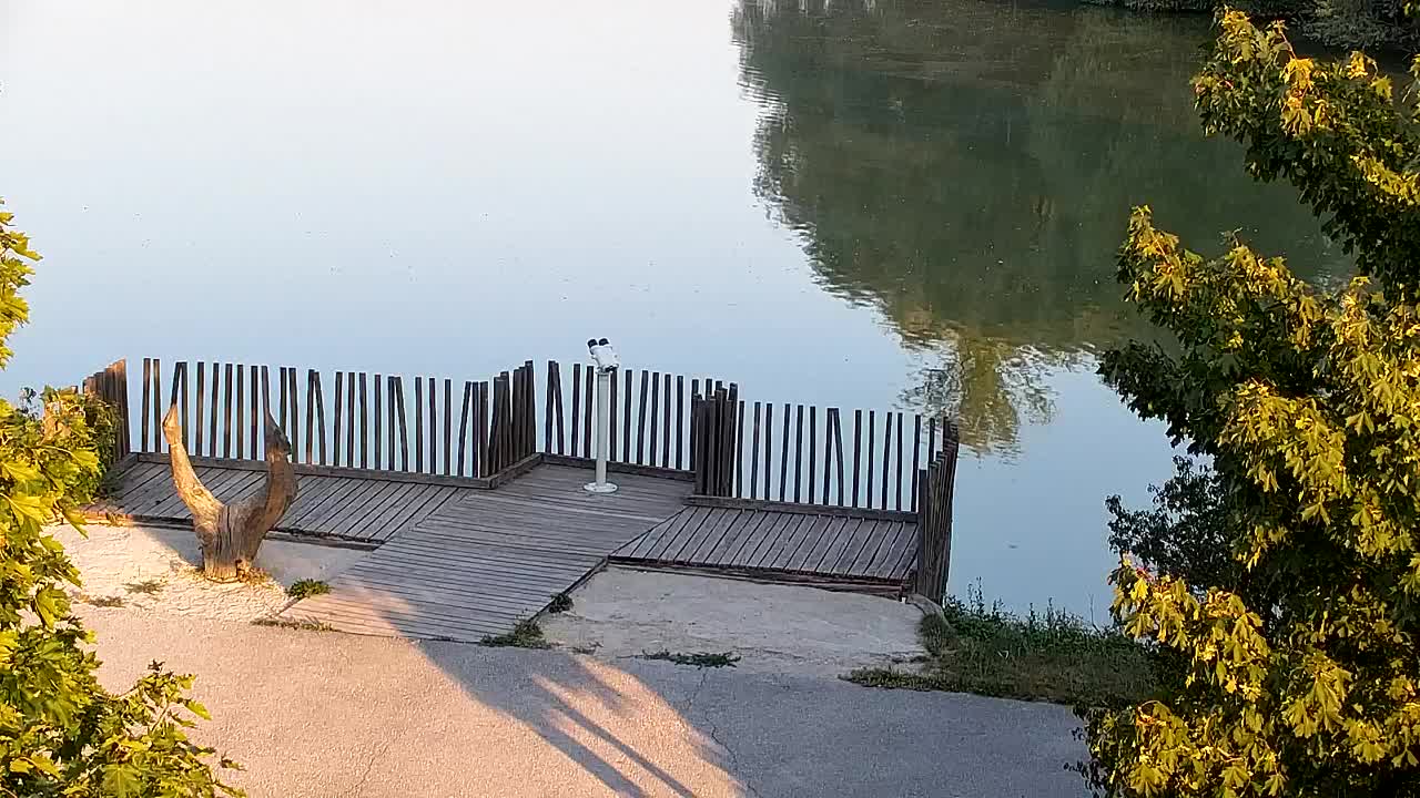 Webcam Ribnik Vrbje – Žalec
