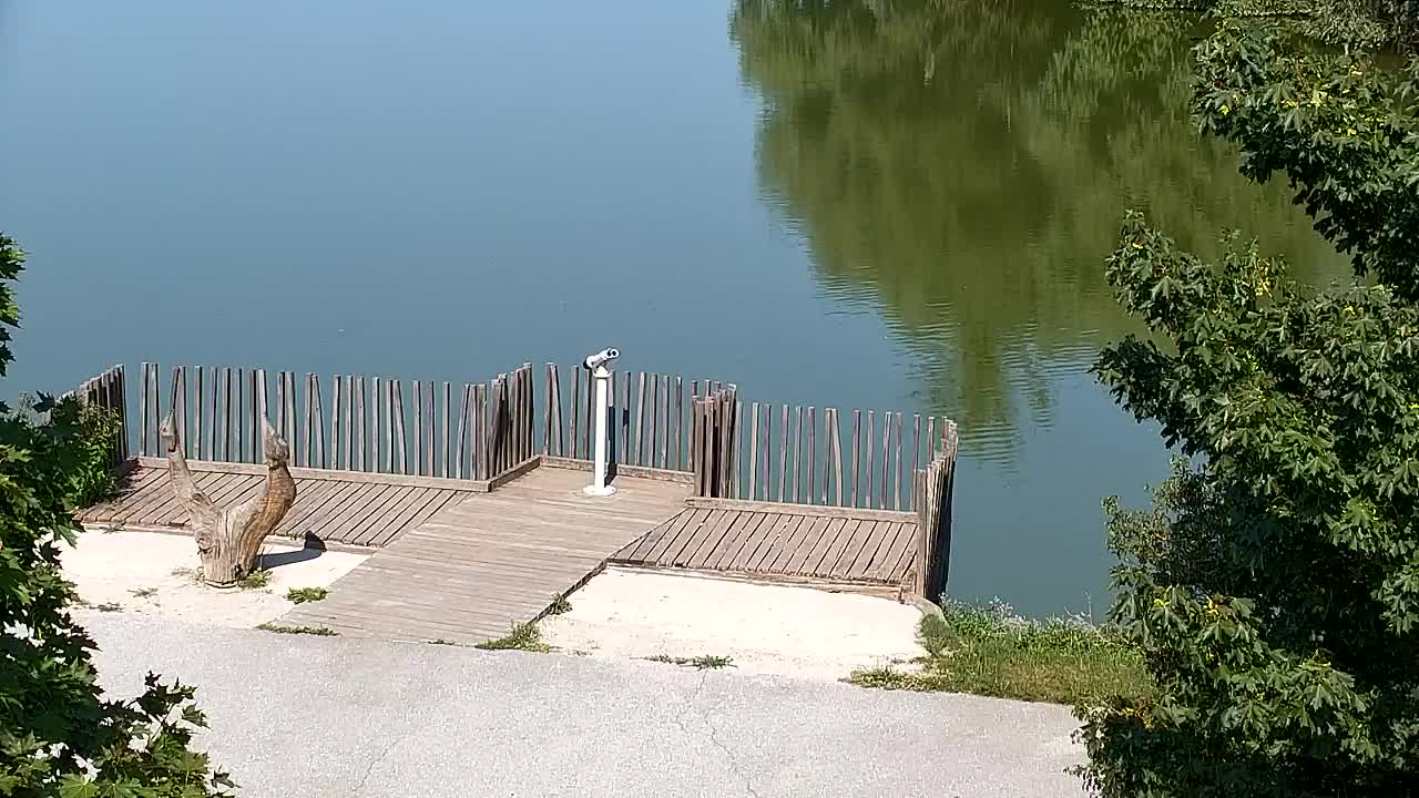 Webcam Ribnik Vrbje – Žalec