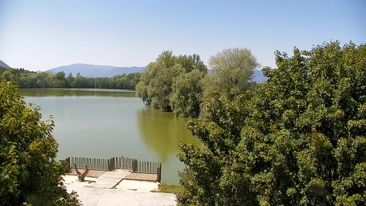 Spletna kamera Ribnik Vrbje – Žalec