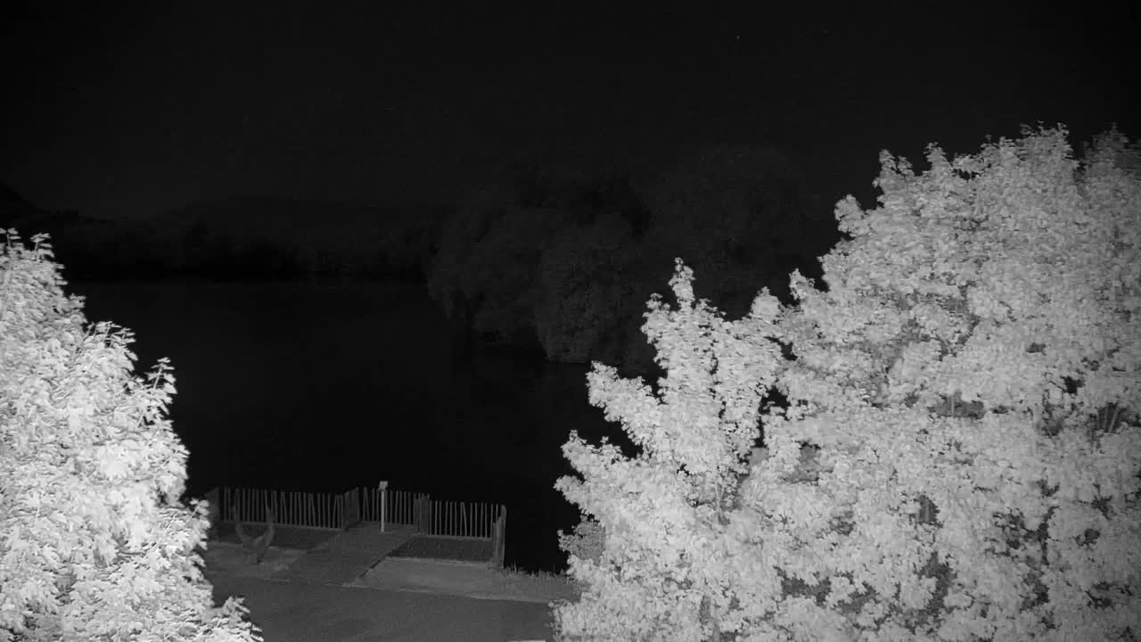 Webcam Ribnik Vrbje – Žalec