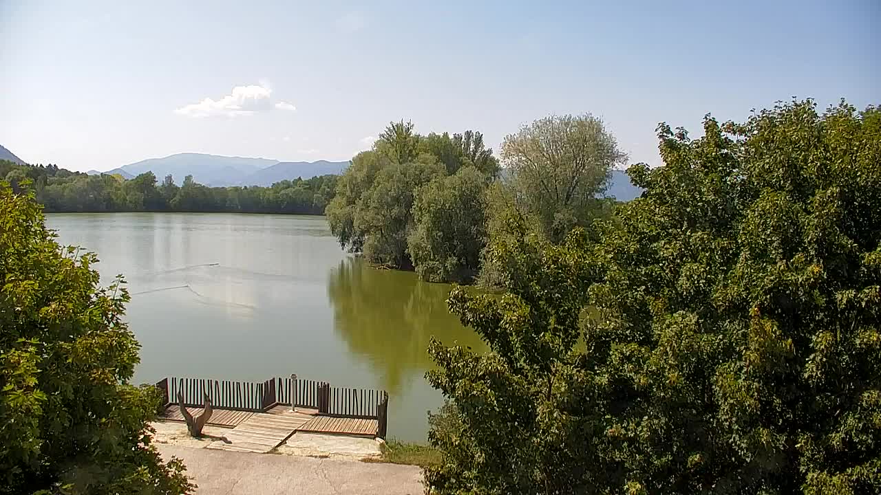 Webcam Ribnik Vrbje – Žalec