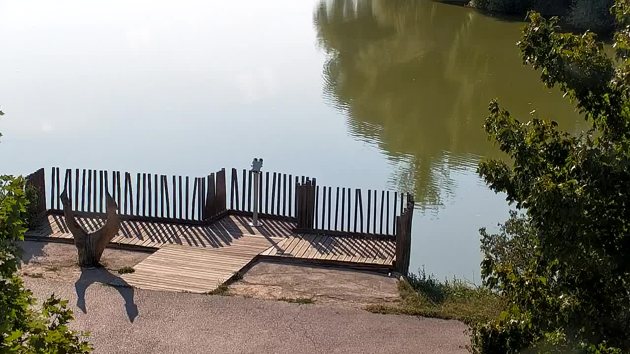 Webcam Ribnik Vrbje – Žalec