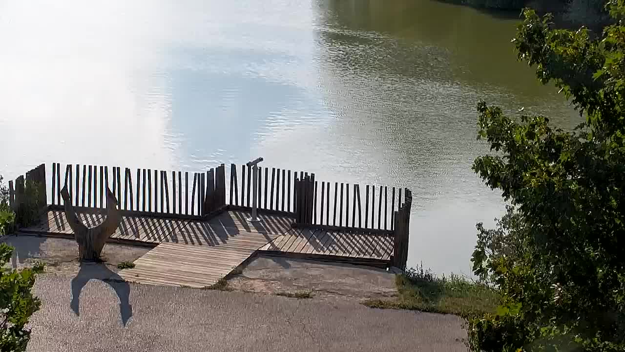 Webcam Ribnik Vrbje – Žalec
