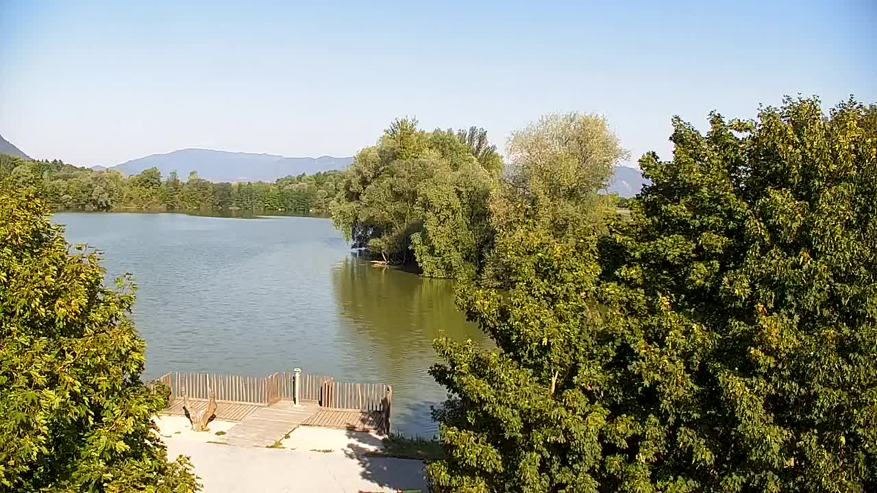 Webcam Ribnik Vrbje – Žalec