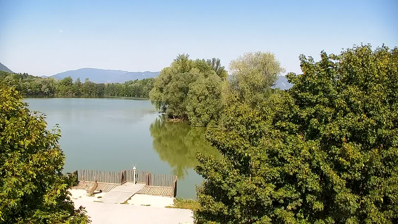 Web kamera Ribnik Vrbje – Žalec
