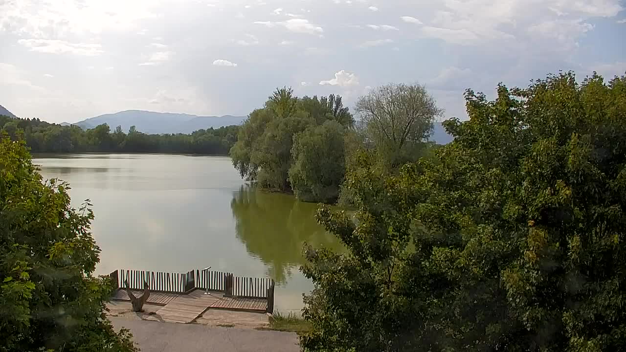 Webcam Ribnik Vrbje – Žalec