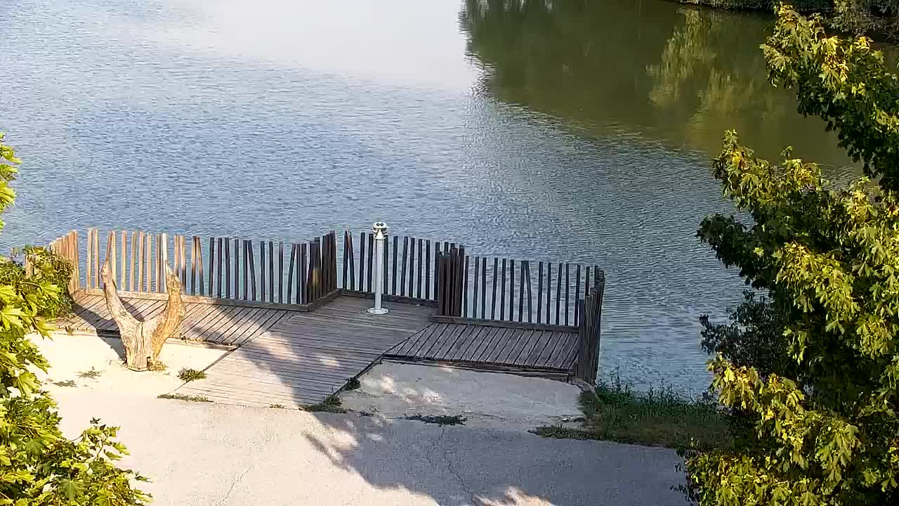 Webcam Ribnik Vrbje – Žalec