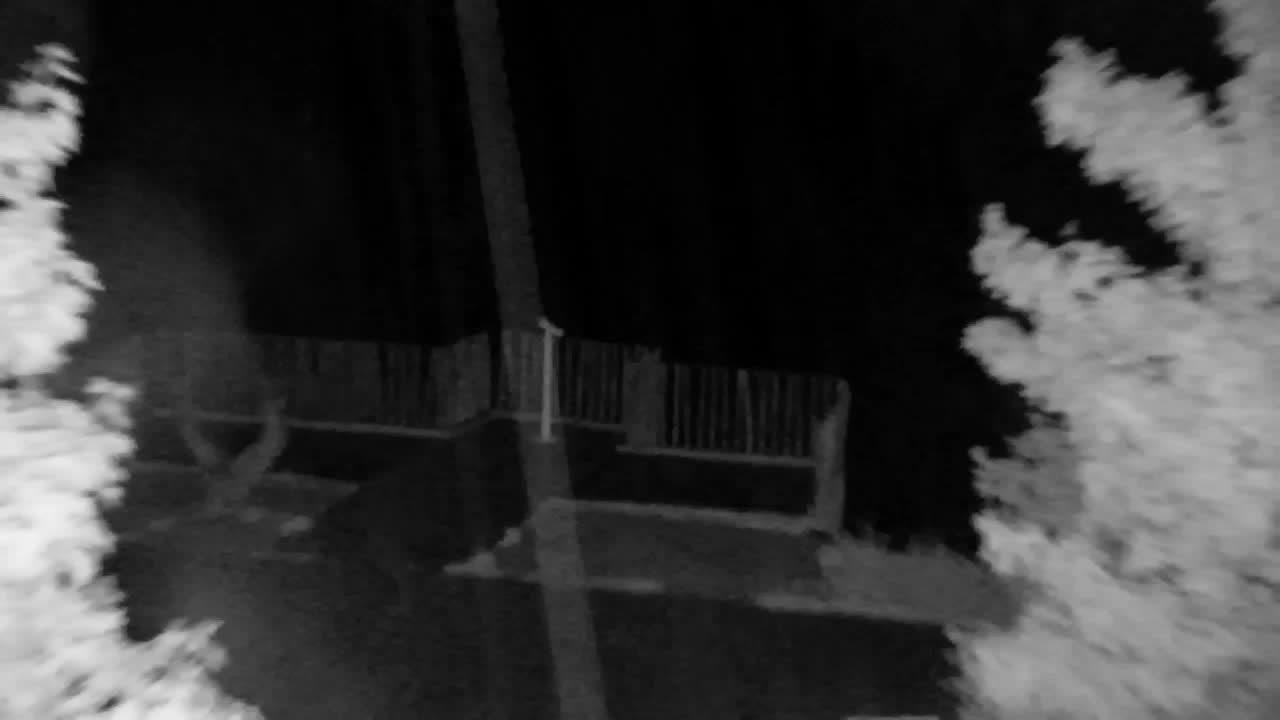 Webcam Ribnik Vrbje – Žalec