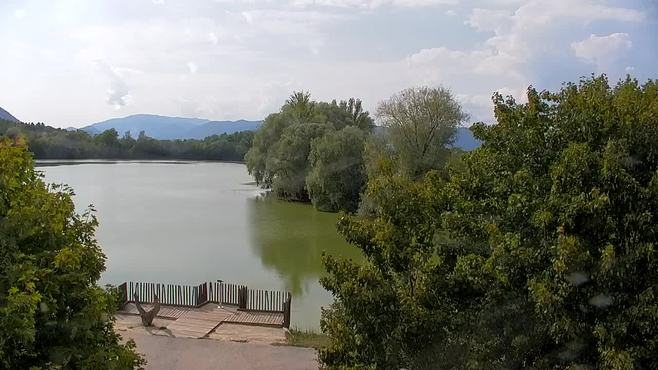 Webcam Ribnik Vrbje – Žalec