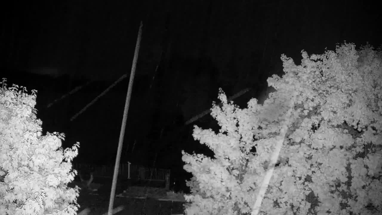 Webcam Ribnik Vrbje – Žalec