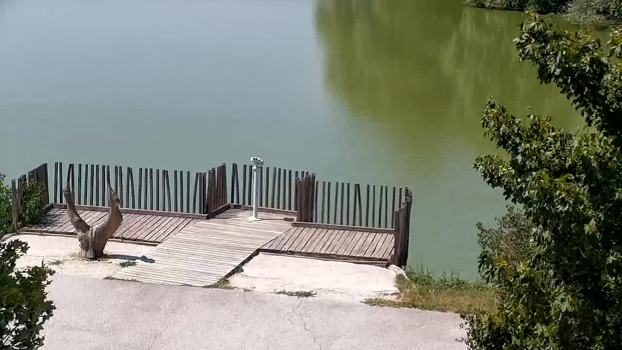 Webcam Ribnik Vrbje – Žalec