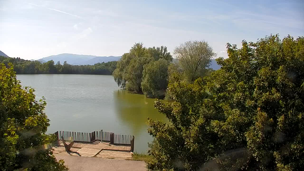 Webcam Ribnik Vrbje – Žalec